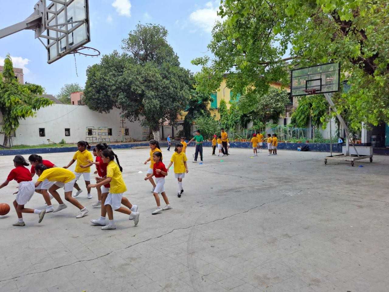 Basketball Court